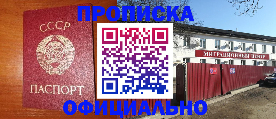 помощь с миграционным учётом в Камчатском крае